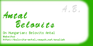 antal belovits business card